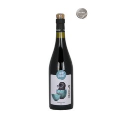 HELLO WORLD CARIGNAN.jpg