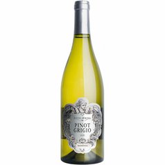 Pinot Grigio Antica Vigna 2023.jpg